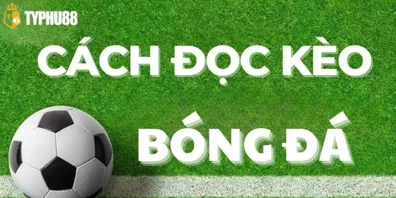 Cách Đọc Kèo Bóng Chuẩn Như Chuyên Gia Soi Kèo Typhu88