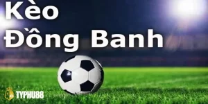 Kèo Đồng banh Là Gì? Bắt Kèo Đồng Banh Bất Bại Tại Typhu88