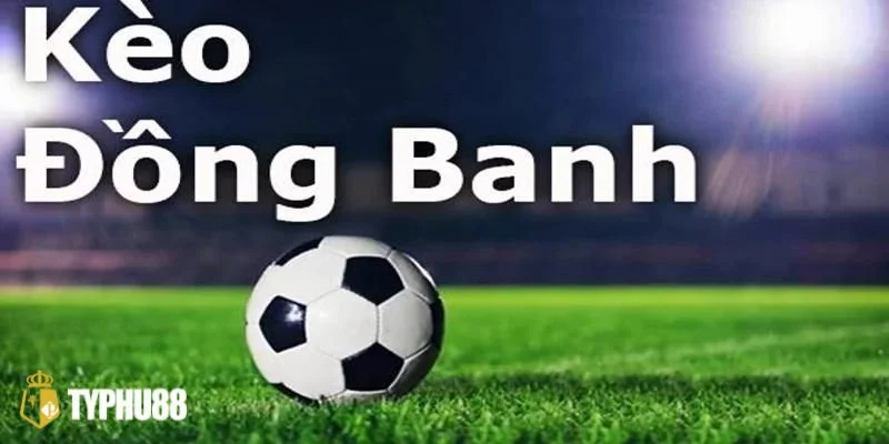 Kèo Đồng banh Là Gì? Bắt Kèo Đồng Banh Bất Bại Tại Typhu88