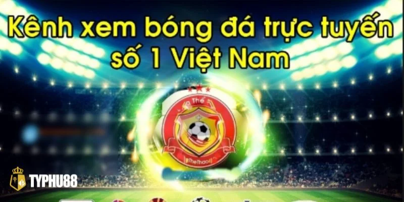 Link Xem Trực Tiếp Bóng Đá Typhu88: Cập Nhật Mới Nhất 2025