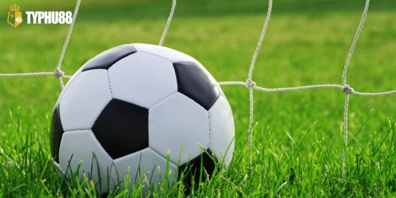 Typhu88 là sàn cá độ đỉnh cao, cung cấp link xem trực tuyến hấp dẫn.